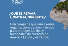 REMAR CONTRACORRIENTE Acción colectiva para defensa del Rio Paraná, su biodiversidad y sus comunidades