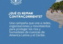 REMAR CONTRACORRIENTE Acción colectiva para defensa del Rio Paraná, su biodiversidad y sus comunidades